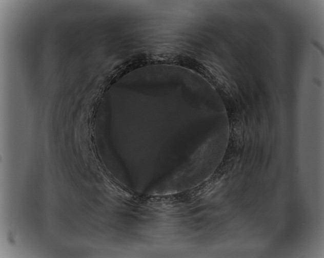 X0000097590817200803071318