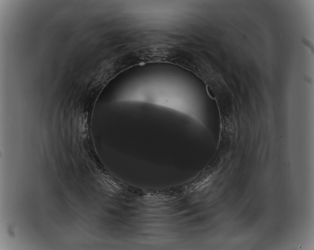 X0000097590818200803071318