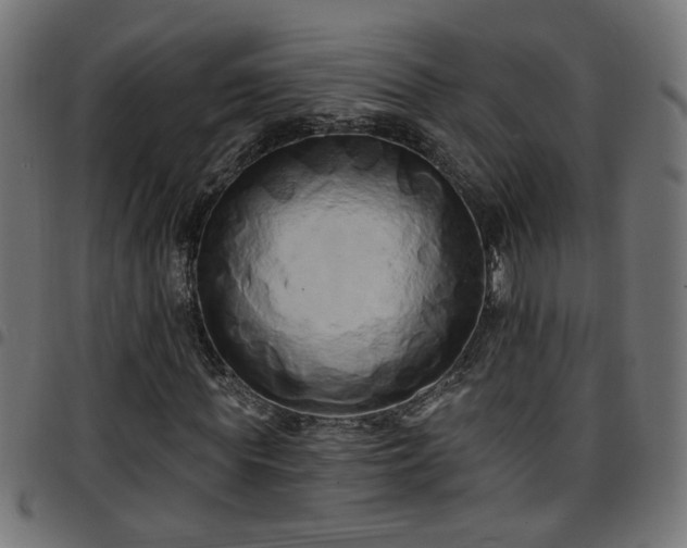 X0000097590819200803071318