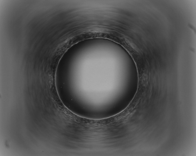 X0000097590821200803071318