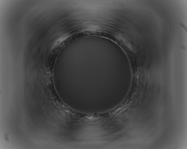 X0000097590822200803071318