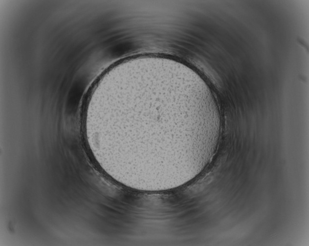 X0000097590828200803071318