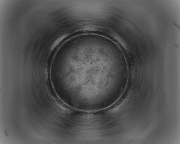 X0000097590829200803071319