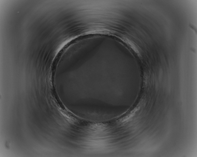 X0000097590830200803071319