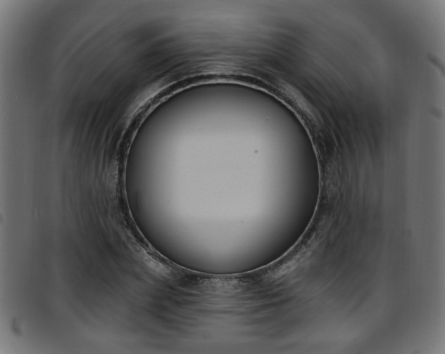 X0000097590831200803071319