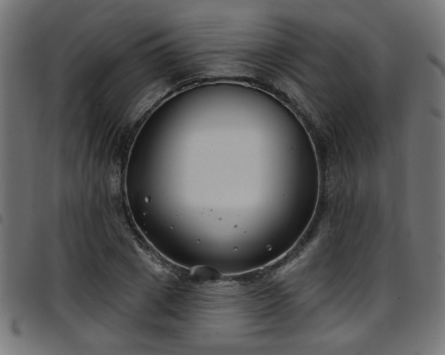 X0000097590833200803071319