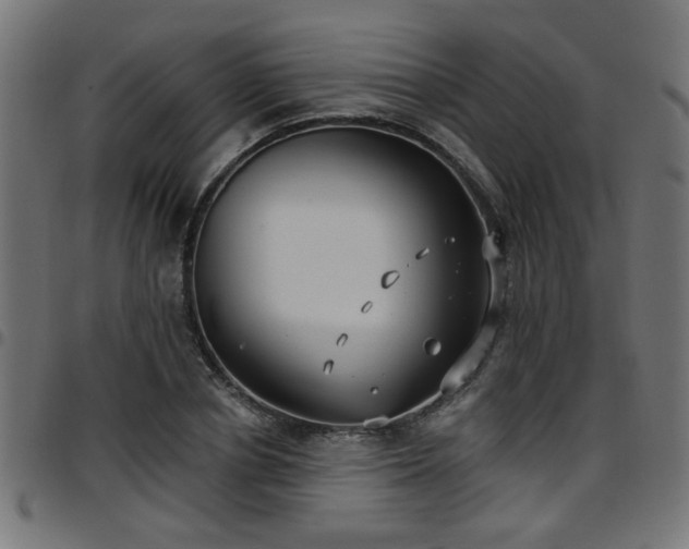 X0000097590834200803071319