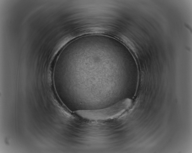 X0000097590835200803071319