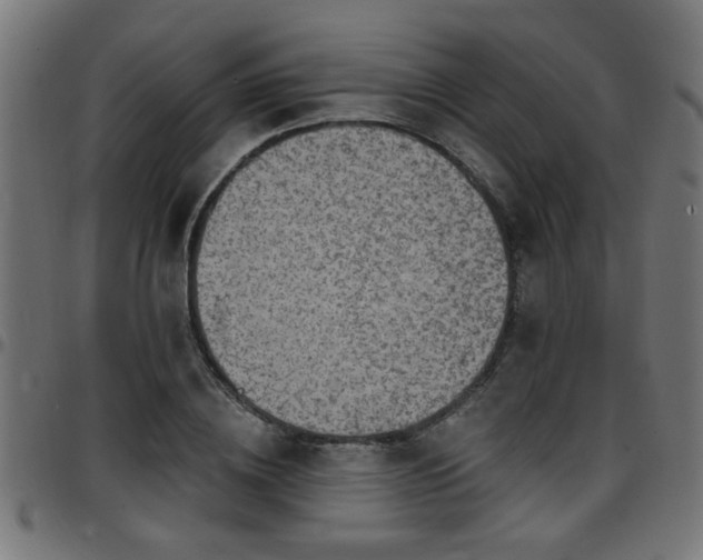 X0000097590836200803071319