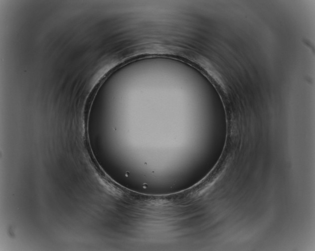 X0000097590837200803071319