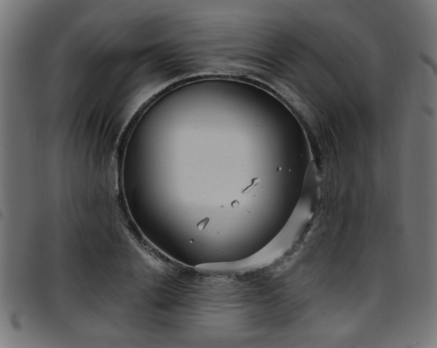 X0000097590838200803071319