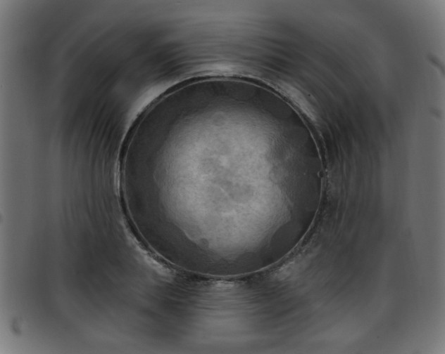 X0000097590839200803071319