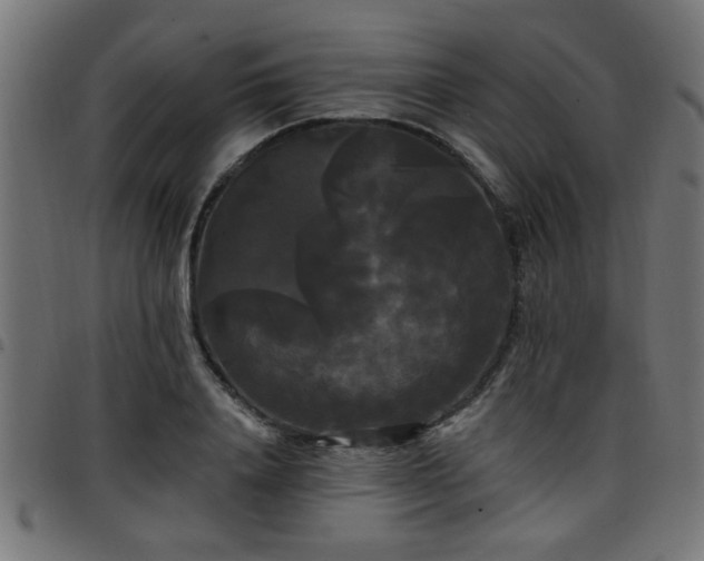 X0000097590840200803071319