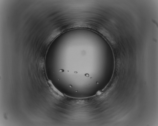 X0000097590841200803071319