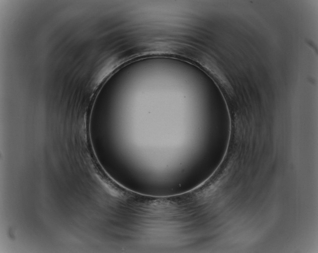 X0000097590842200803071319