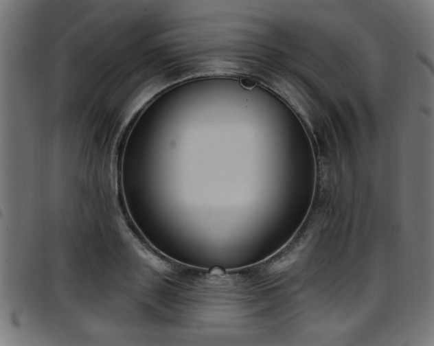 X0000097590843200803071319