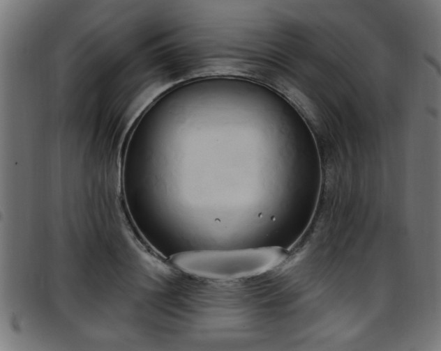 X0000097590844200803071319