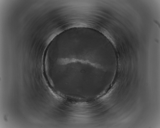 X0000097590845200803071319