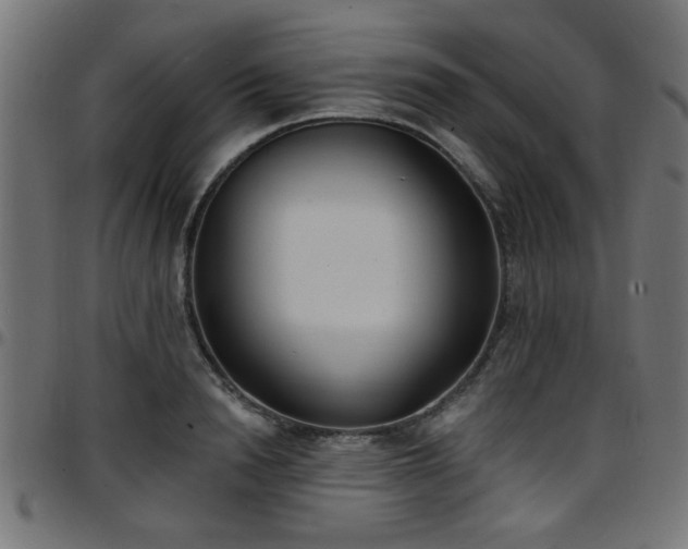 X0000097590846200803071319