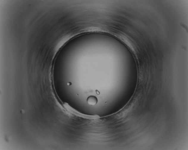 X0000097590847200803071319