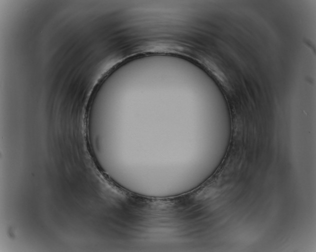 X0000097590848200803071319