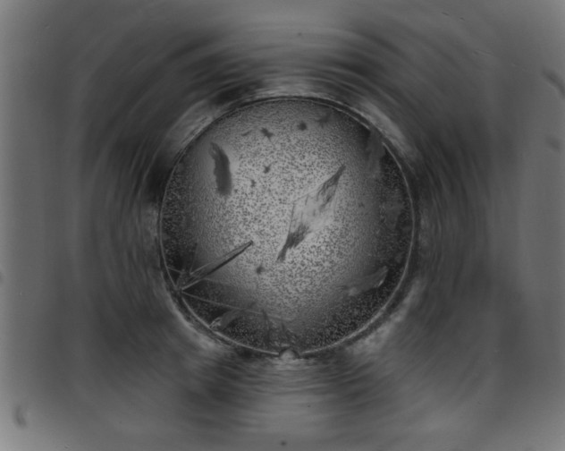 X0000097590849200803071319