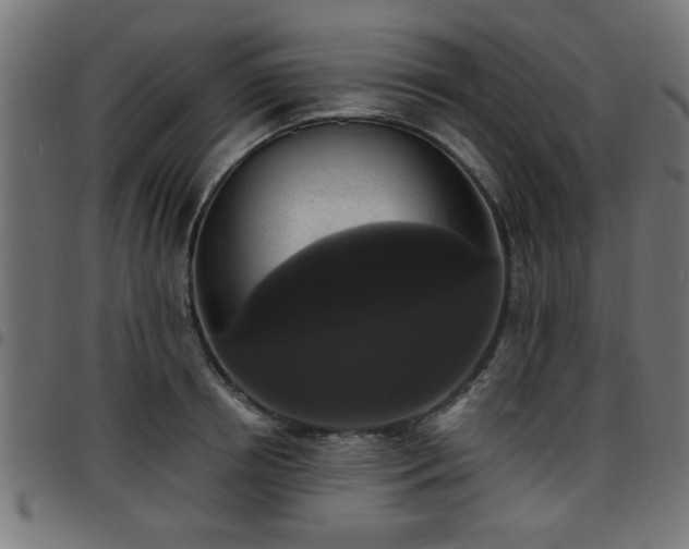 X0000097590850200803071319