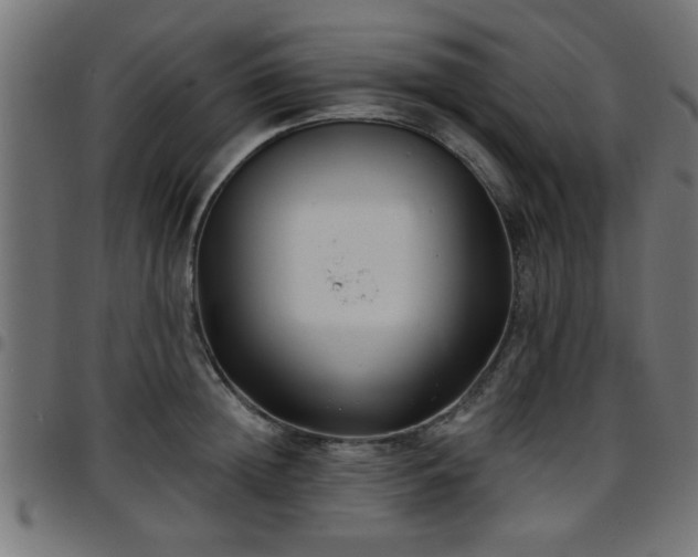 X0000097590852200803071319