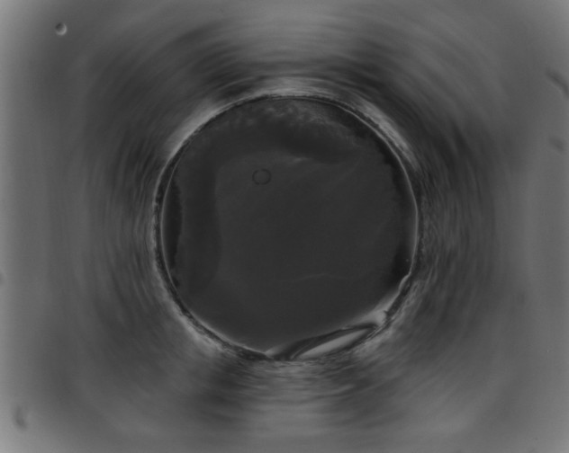 X0000097590853200803071319