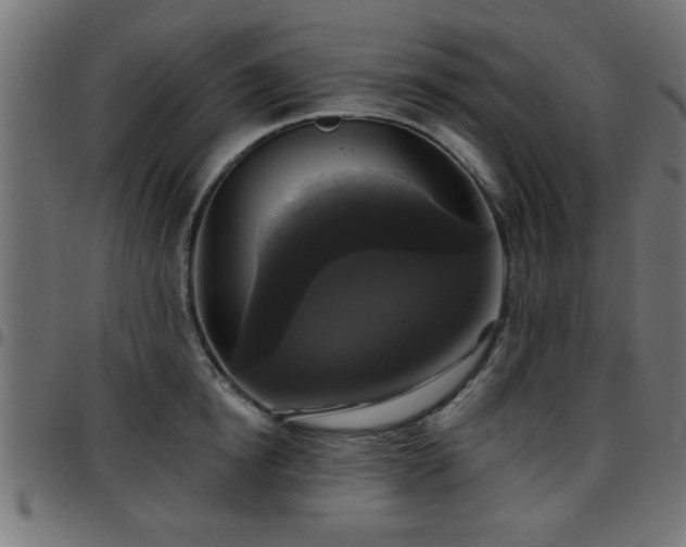 X0000097590854200803071319