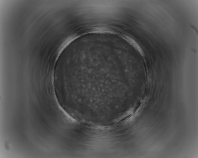 X0000097590855200803071319