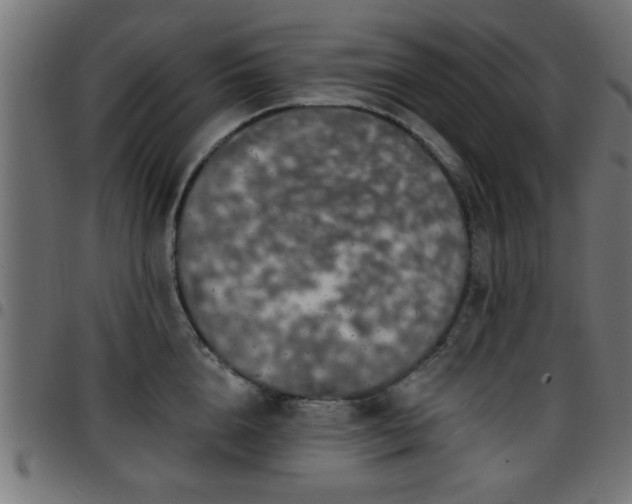 X0000097590856200803071319