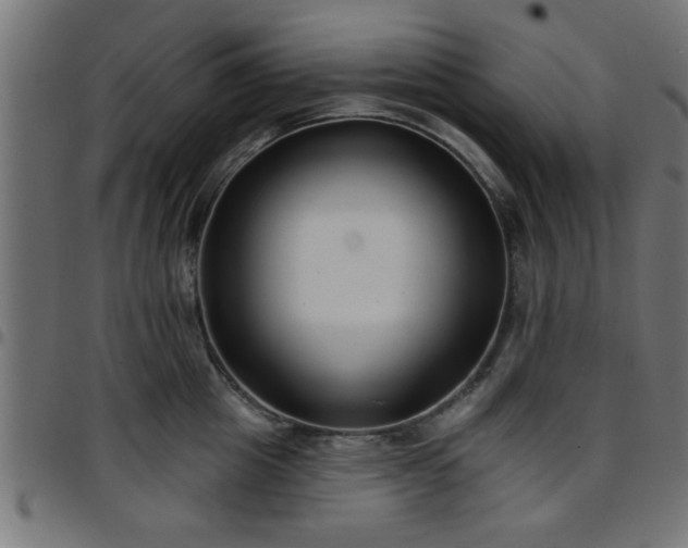 X0000097590857200803071319