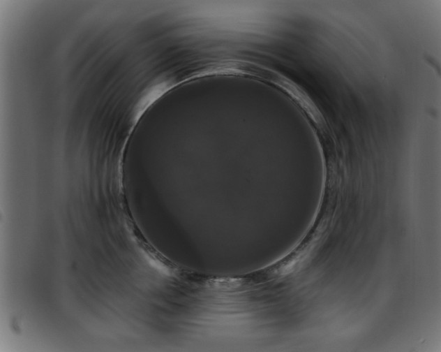 X0000097590858200803071319