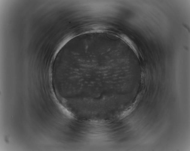 X0000097590859200803071319