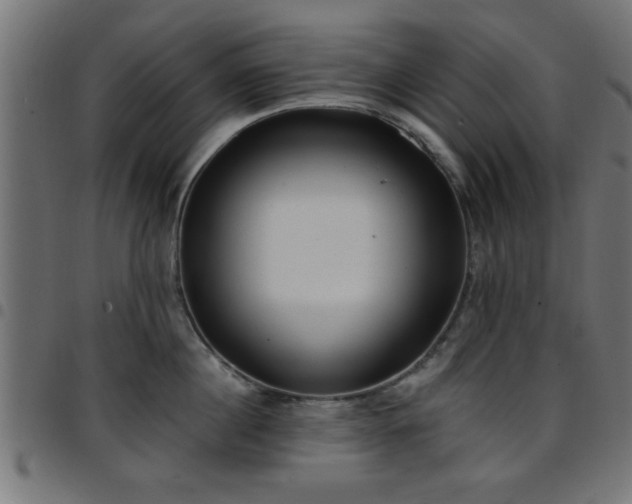 X0000097590860200803071319