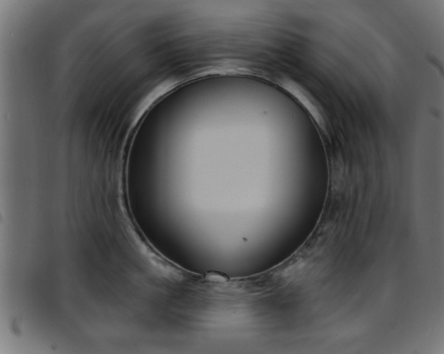 X0000097590861200803071319