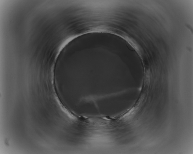 X0000097590862200803071319