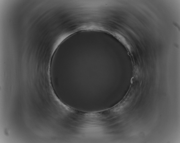 X0000097590863200803071319