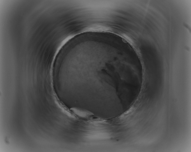 X0000097590864200803071319