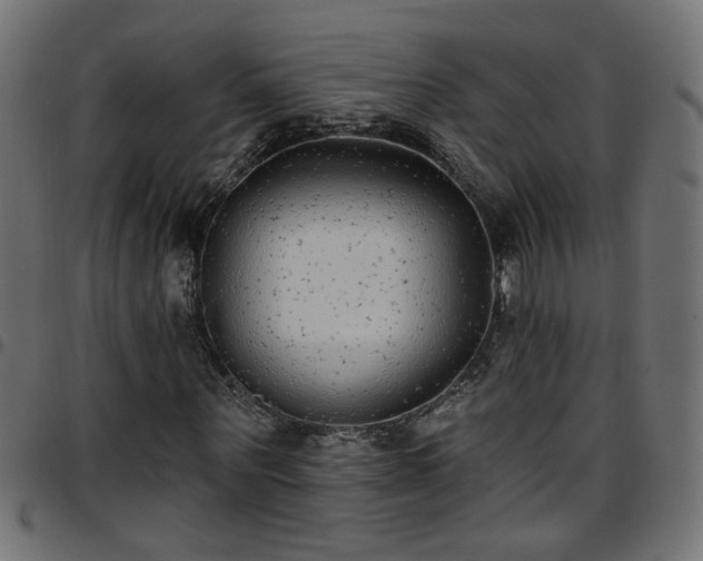 X0000097590867200803071318