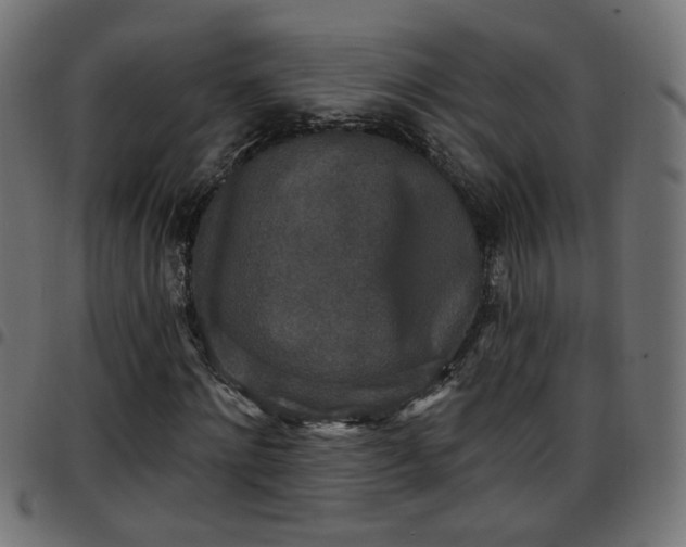 X0000097590868200803071318