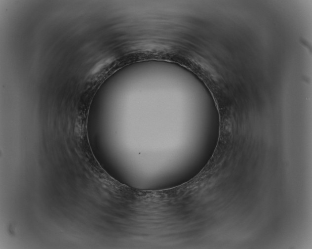 X0000097590869200803071318