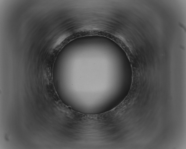 X0000097590871200803071318