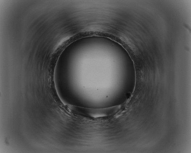 X0000097590872200803071318