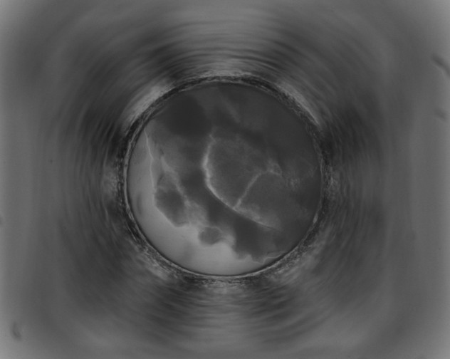 X0000097590874200803071318