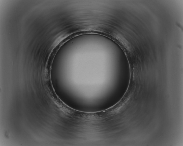 X0000097590876200803071318