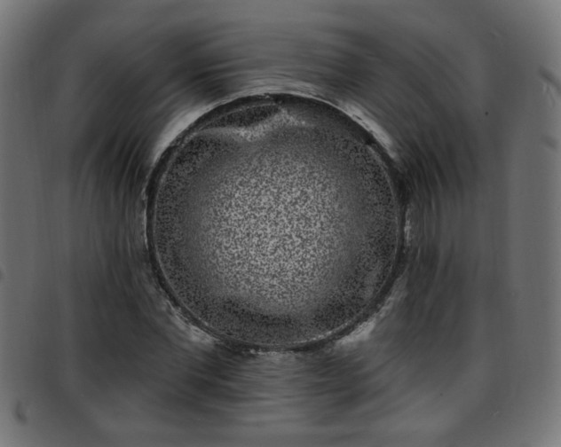 X0000097590877200803071318