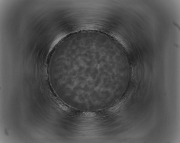 X0000097590878200803071318