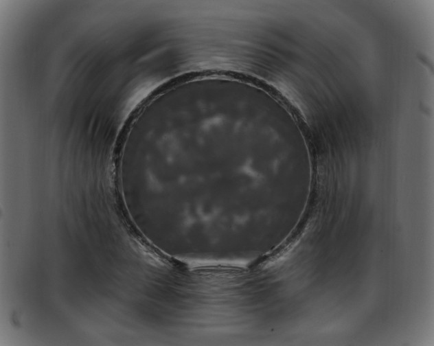 X0000097590879200803071318